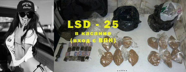 спайс Ладушкин