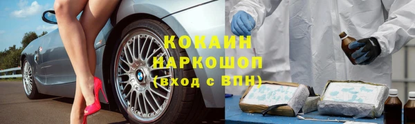спайс Ладушкин