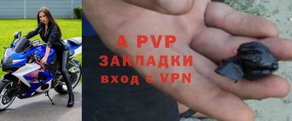 спайс Ладушкин